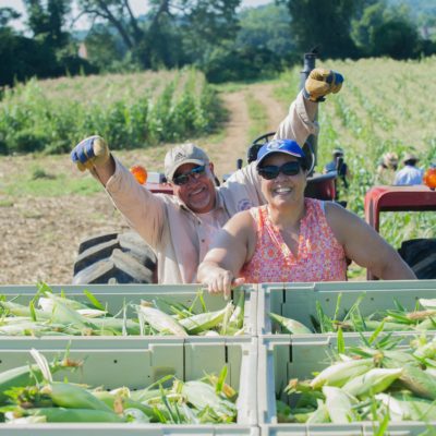 A husband and wife smiling at the camera while in a cornfield