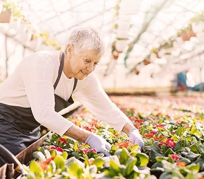 A woman planting flowers